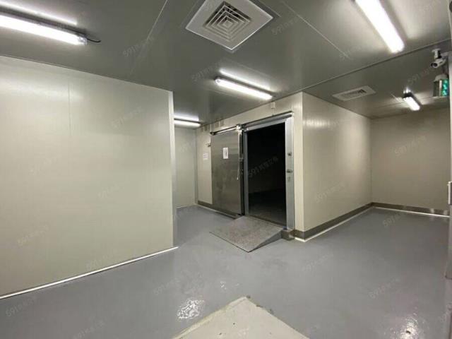 大園廠房-1